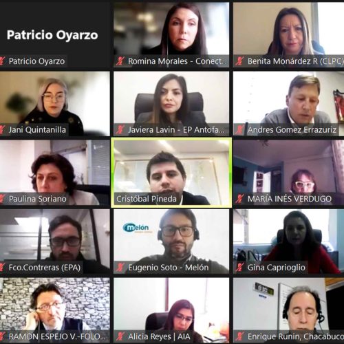 Captura de pantalla de la videollamada donde las comunidades logísticas chilenas compartieron experiencias exitosas